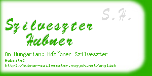 szilveszter hubner business card